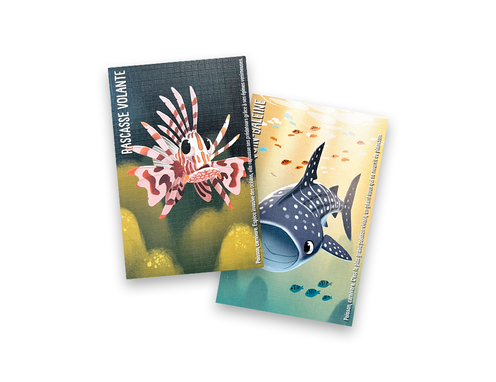 Plato 180 novembre 2025 – Image 2