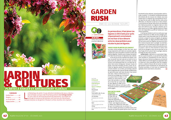 Plato 181 décembre 2025 – Image 4